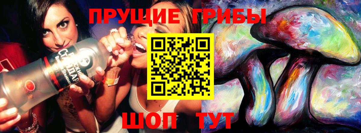 Галлюциногенные грибы Psilocybe Сочи