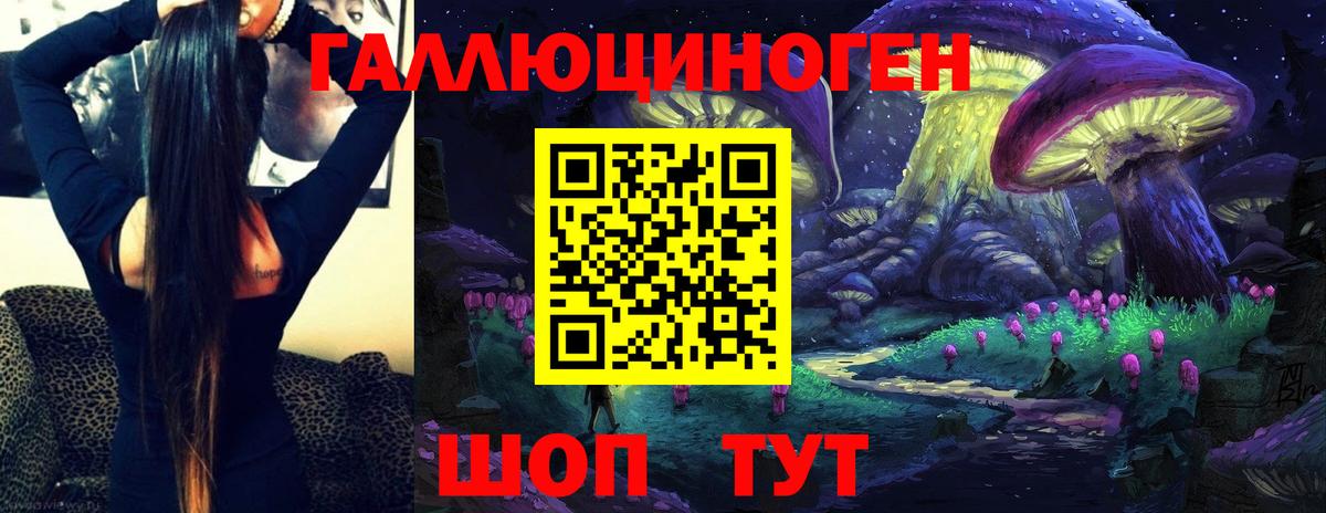Псилоцибиновые грибы Psilocybe  Вход с VPN  Сочи  Псилоцибиновые грибы мицелий 
